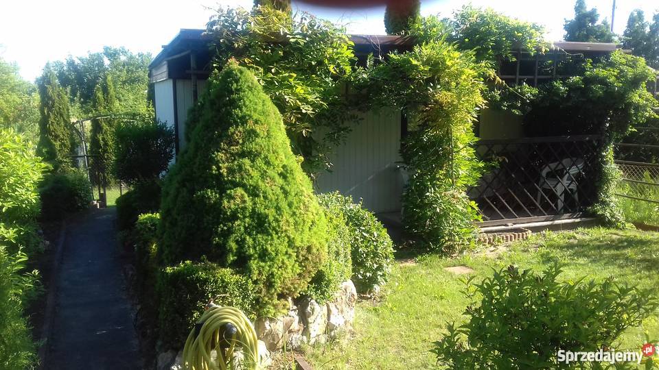 Sprzedam śliczną działkę rekreacyjną śląskie Częstochowa sprzedam