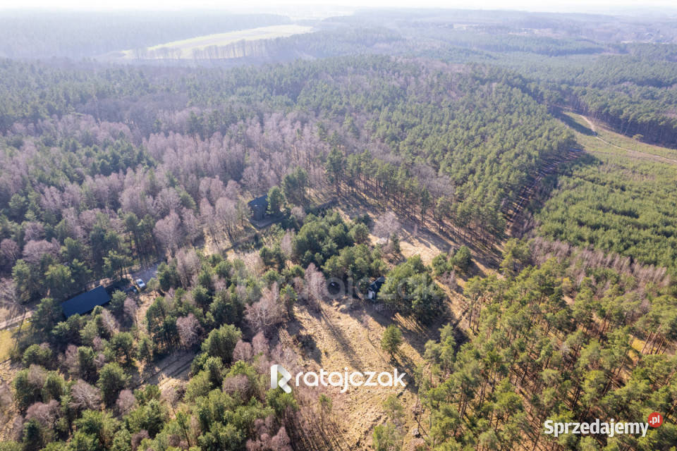 Grunt na sprzedaż 9751m2 Sasino Stara Cegielnia