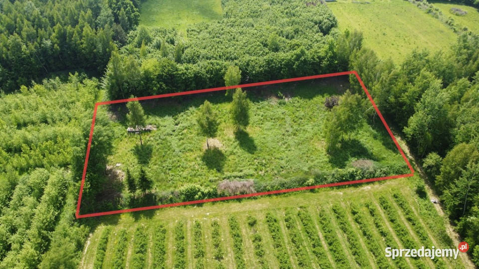 Działka 3580 m2 w Kazimierzu Dolnym 4 rynku Kazimierz Dolny