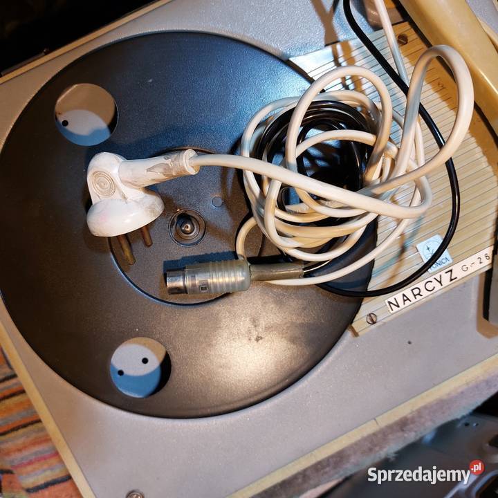 AntykGramofon Narcyz Antyki, Sztuka, Kolekcje