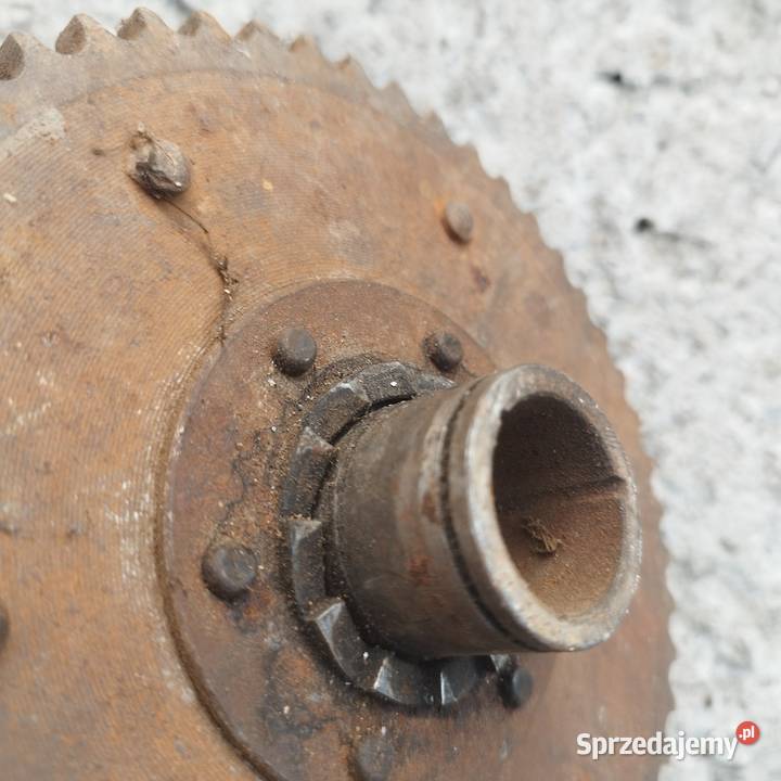 Kosz sprzęgłowy pannonia Barchaczów