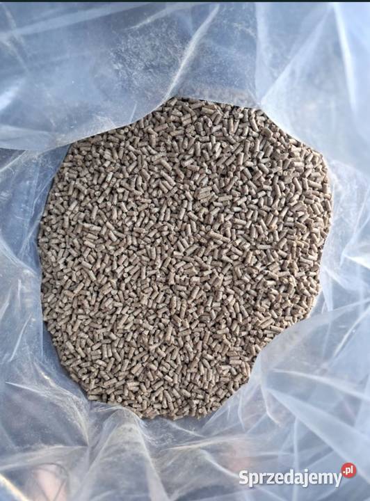 Pellet wysokobiałkowy ryb Poznań