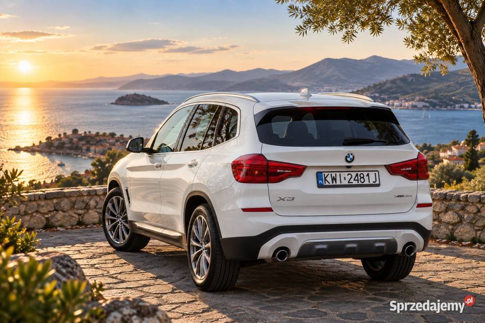 BMW X3 xDrive30i 252 Luxury Line 2019 75 300 Samochody osobowe