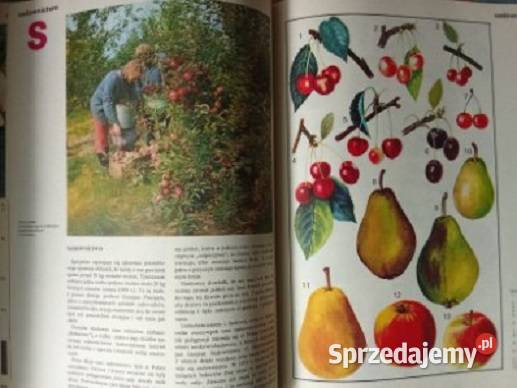 Encyklopedia dzieci Polska moja ojczyzna 1976 łódzkie Łódź