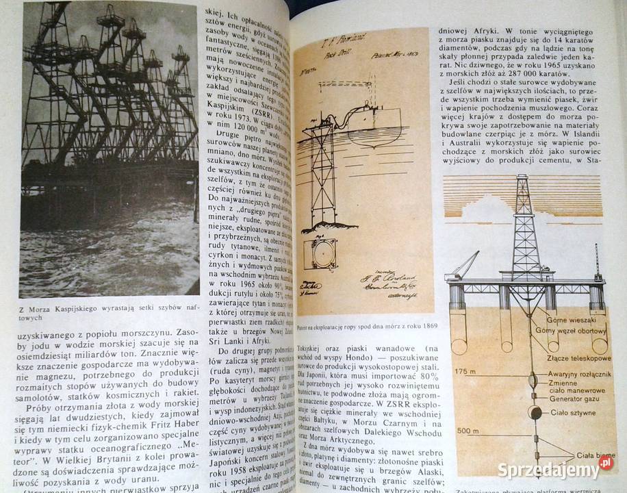W głąb Ziemi Hermann Heinz Wille Rok wydania 1982 Chełm sprzedam