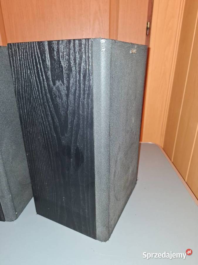 Kolumny Głośnikowe SONY SSA102 2 100 Sprawne Sochaczew