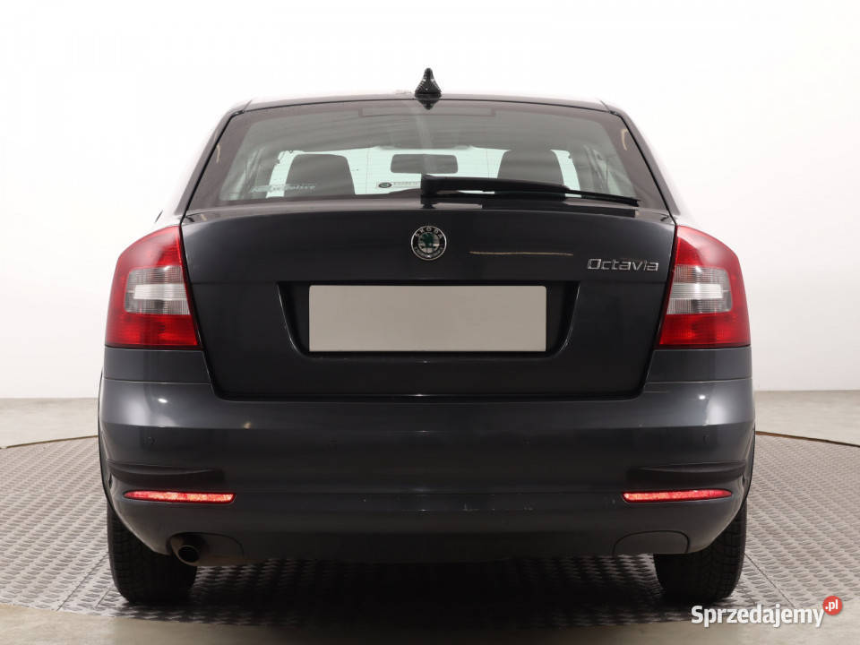 Skoda Octavia 12 TSI szary Octavia