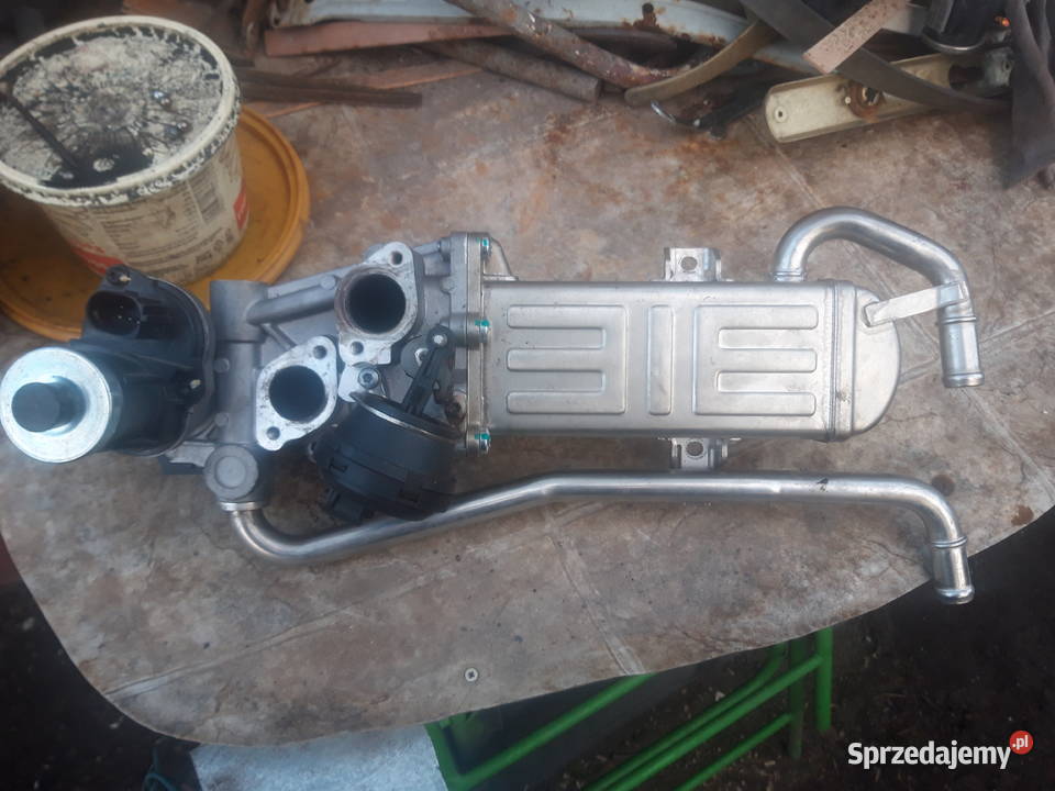 Zawór EGR chłodnica Golf Passat Motoryzacja Opole sprzedam