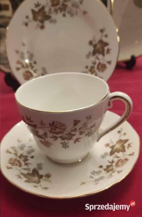 Colcloughangielska porcelana kostnaFiliżanka ze