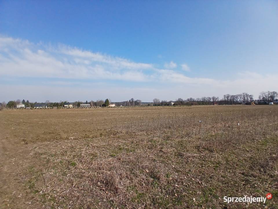 Nasutów Aleja Lipowa 2ha