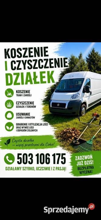 Porządkowanie działek koszenie wycinka wywóz Kozienice ogród