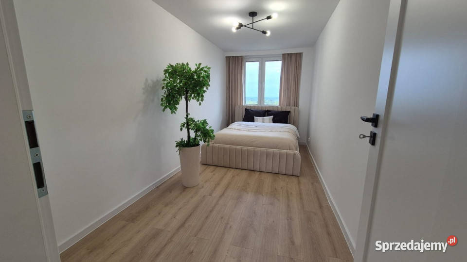 Mieszkanie Kielce 5811m2 3 pokoje Nieruchomości świętokrzyskie