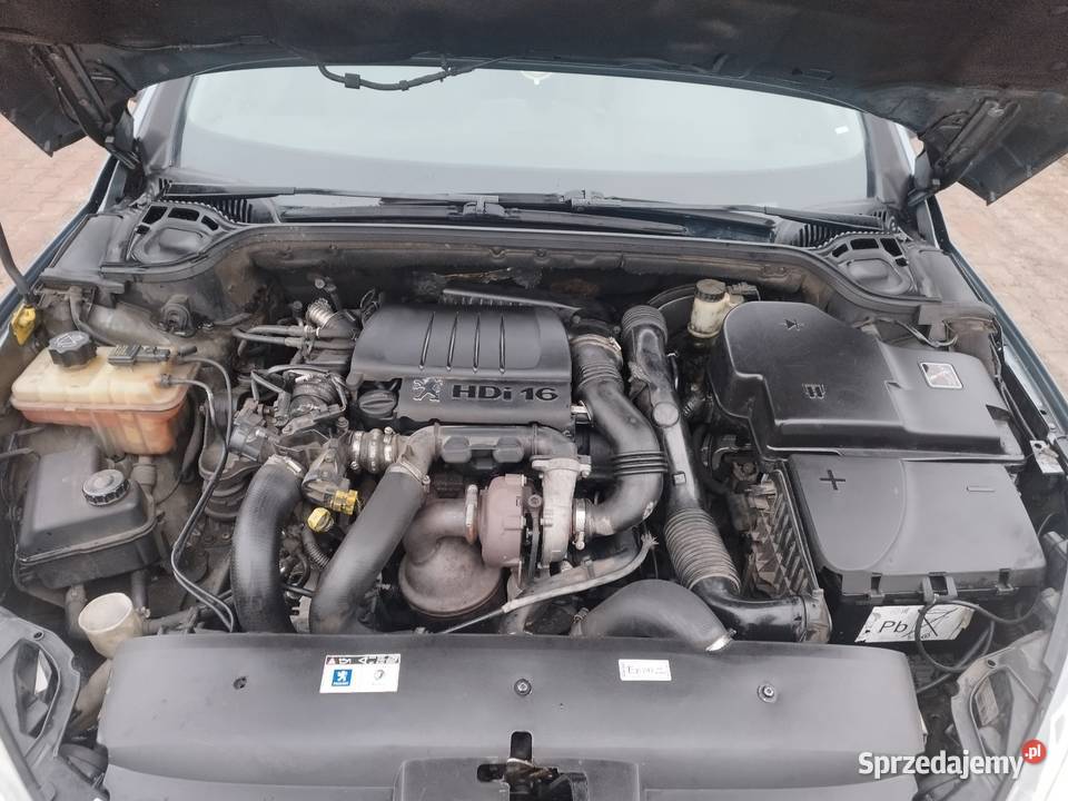 Peugeot 407 16 HDi 2005 Jarocin