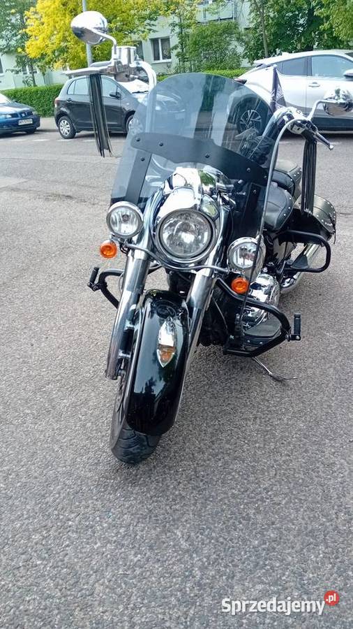 Indian Chief