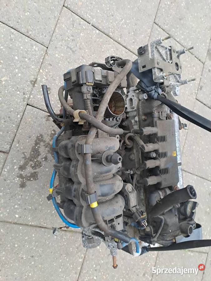 Fiat Grande Punto 14 8V silnik kompletny kod Jastrzębie-Zdrój sprzedam