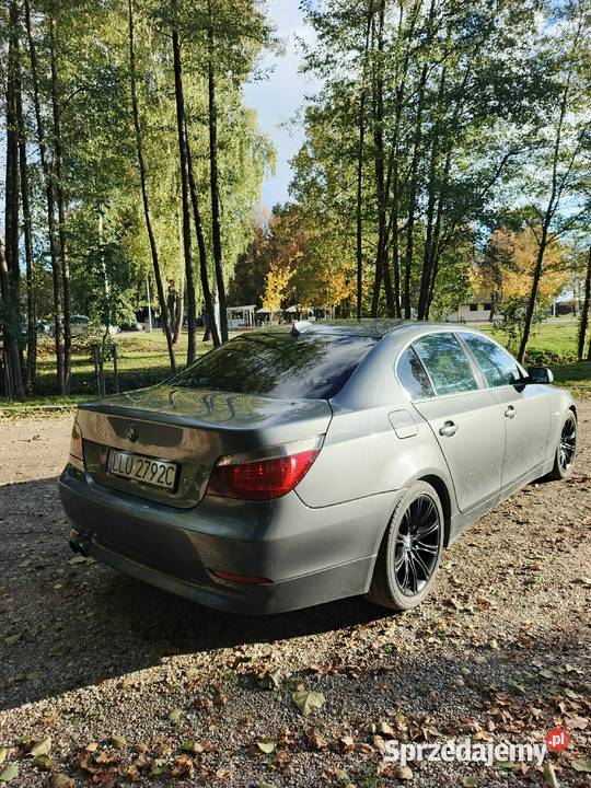 BMW E60 530d 2004r Łuków