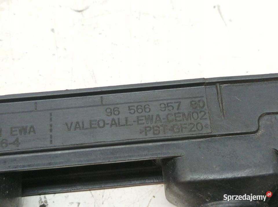 CEWKA ZAPŁONOWA 9656695780 20 B Peugeot 307 I