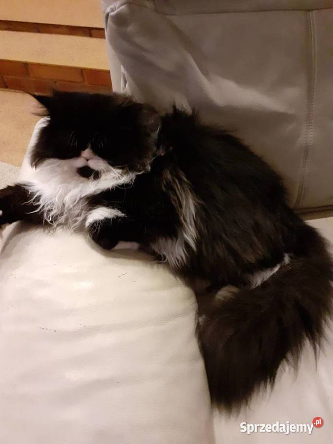 Reproduktor PERS Zamość