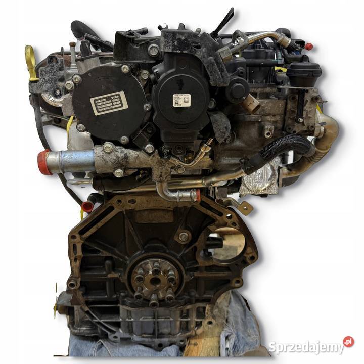 SILNIK A22DM Opel Antara Chevrolet Captiva 22 lubelskie Chełm sprzedam