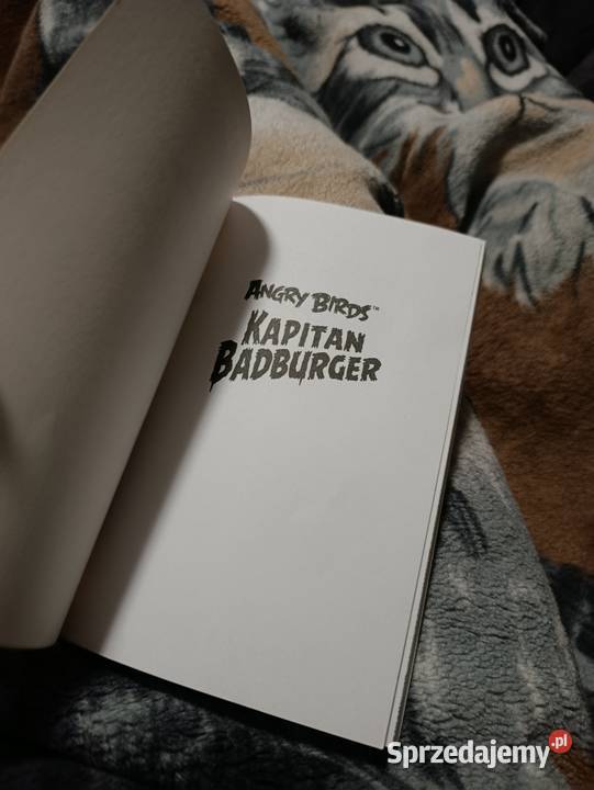 Angry Birds zatytułowana Kapitan Badburger  Poznań