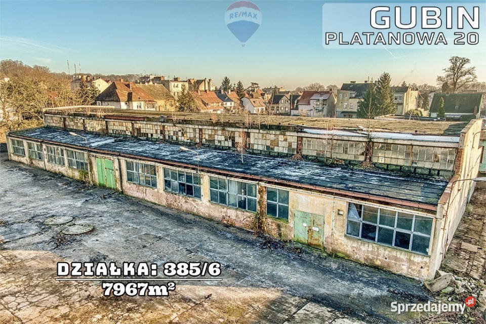 Duża działka w sercu Gubina granicy DE Gubin sprzedam