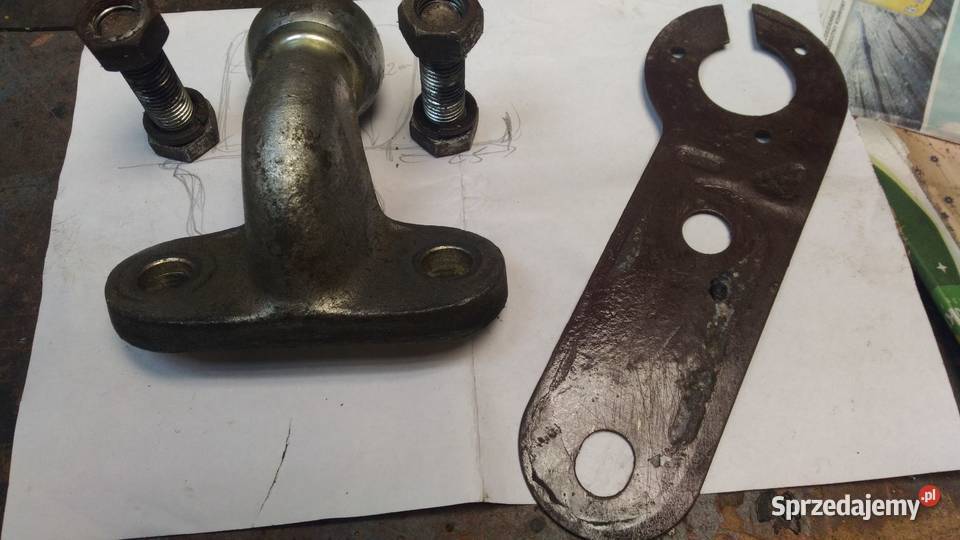 hakgłówka Łęczna