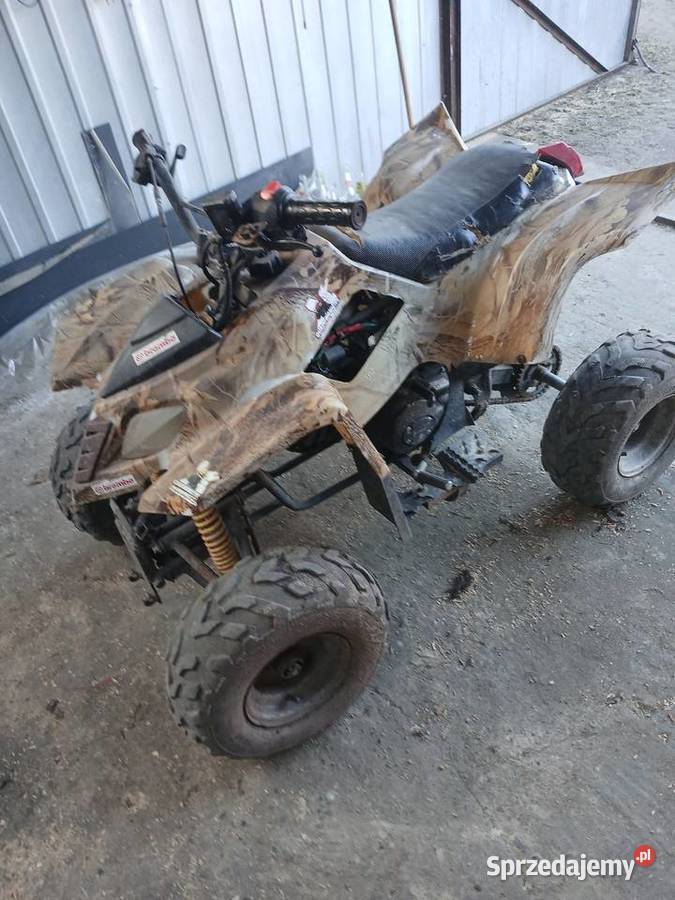 Quad 110 110cm3 Rybie