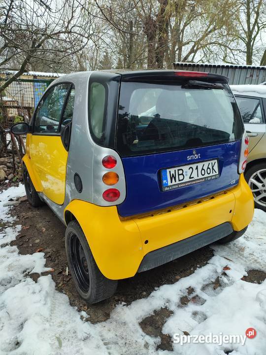 Smart 800 D Płońsk