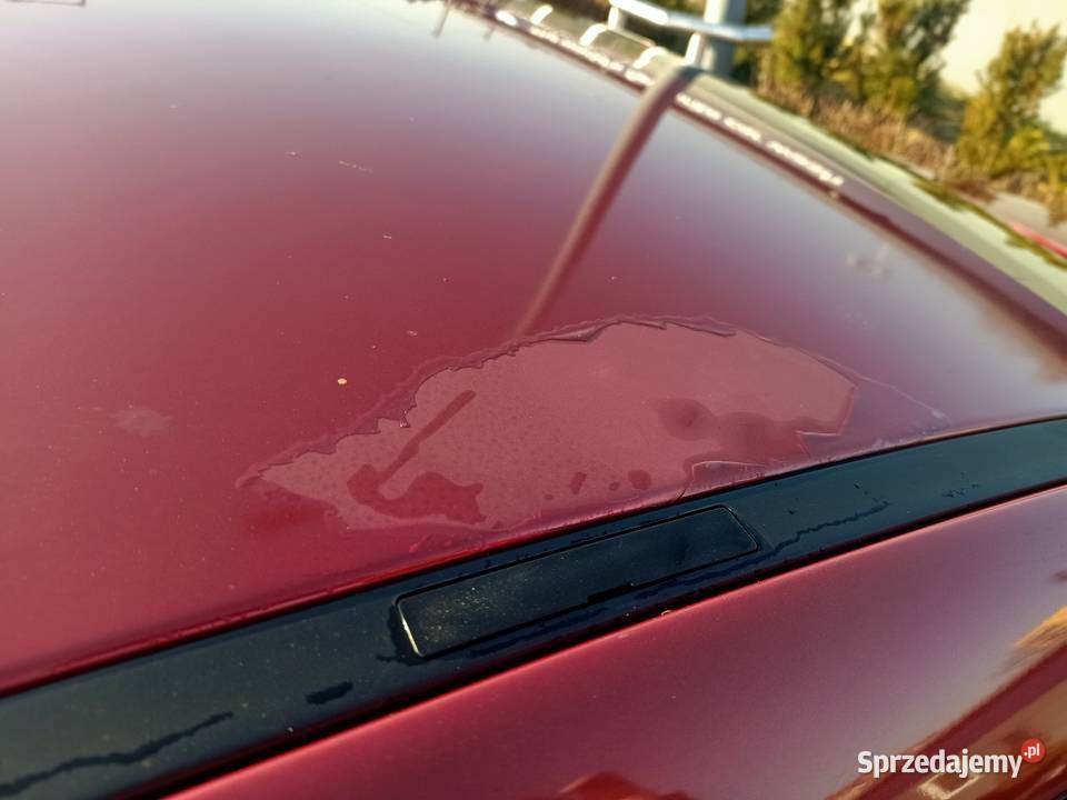 Ekonomiczny Citroen C4 16 HDi turbo diesel śląskie Bielsko-Biała