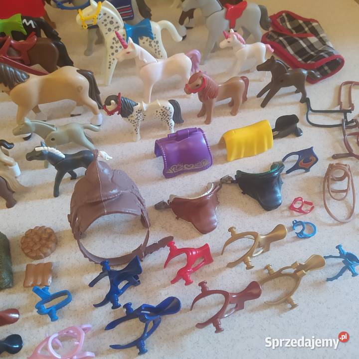 Figurki do zabawy Playmobil Gdańsk