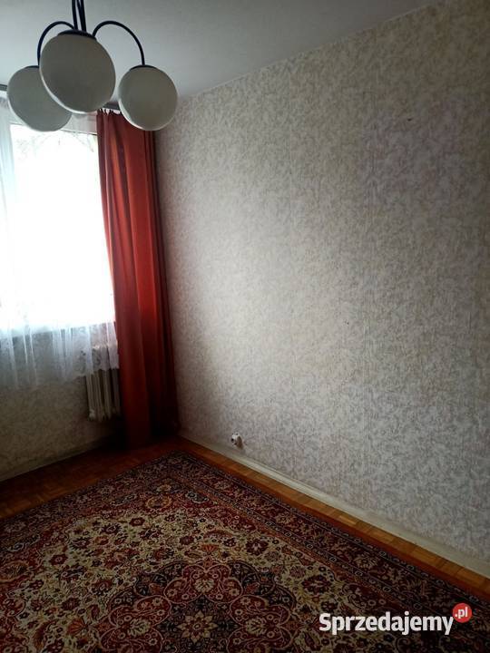 3pok 54met Żubrzej ROZKŁADBALKONPIWNICA Wrocław Liczba pokoi 3 dolnośląskie