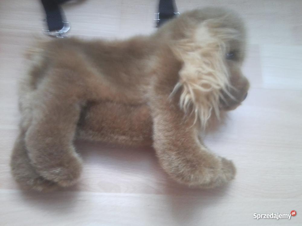 torebka piesek Gniezno