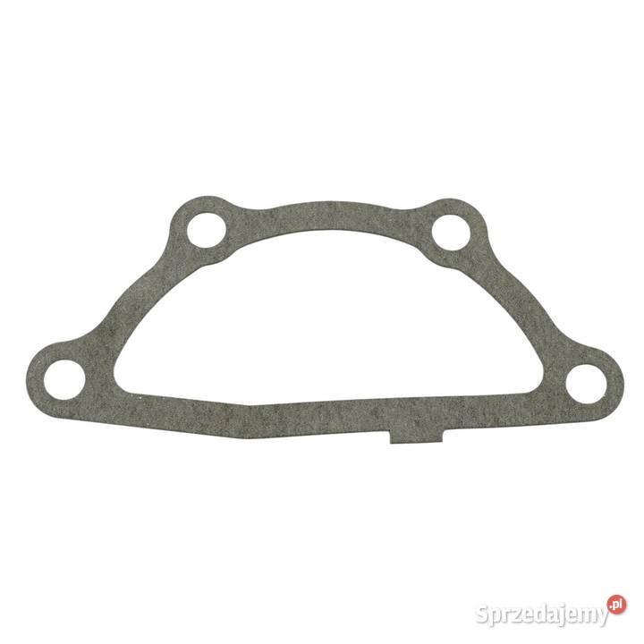 Uszczelka pompy wody LS Tractor 40109139