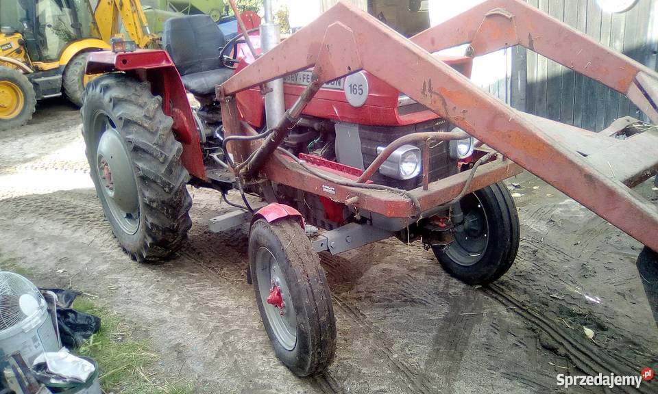 Sprzedam massey ferguson 165 Ciągniki Warzno