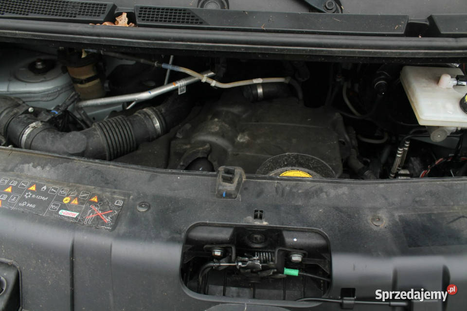 Renault Master biały