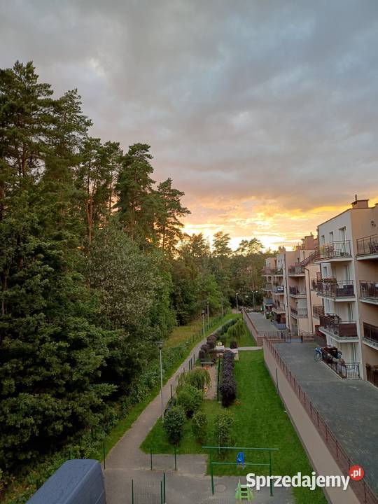 Klimatyczne mieszkanie 52 m2 z widokiem na las warmińsko-mazurskie Olsztyn
