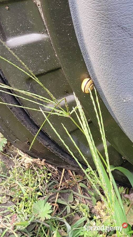 Drzwi Citroen Xsara Picasso osobowe mazowieckie Łagów