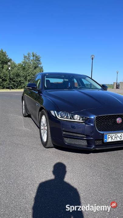 Jaguar XE Rok produkcji 2016 Krotoszyn