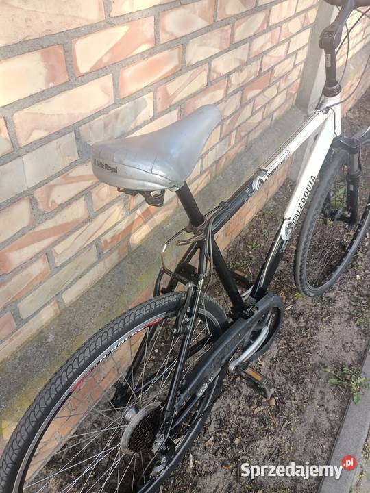 Rower Caledonia koła 28 Toruń sprzedam