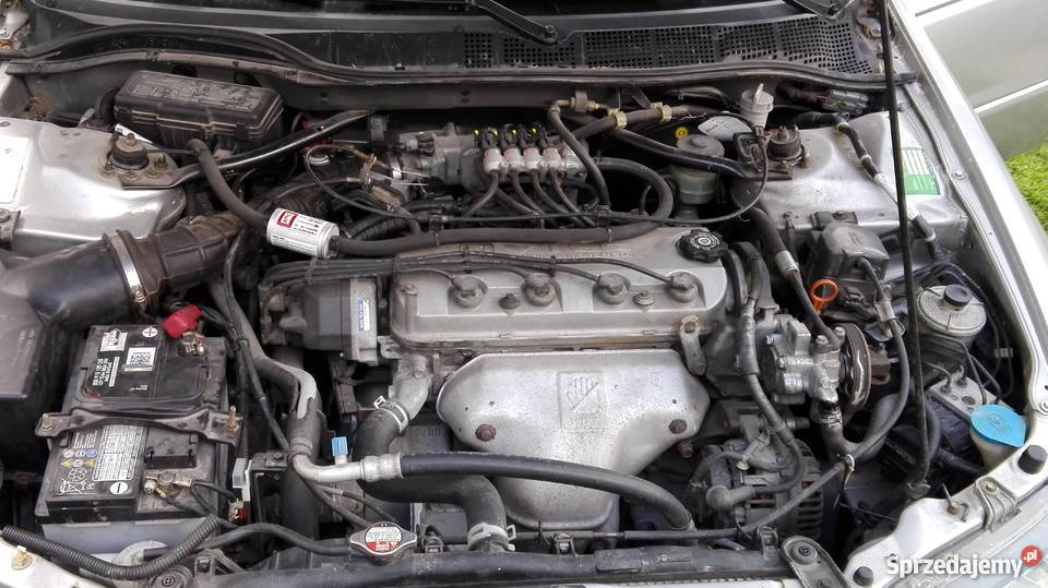 Honda Accord 23 Type V Nowa Sekwencja BRC