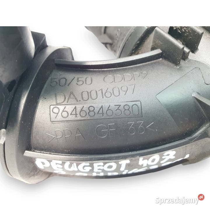 PRZEPUSTNICA Citroen C5 Peugeot 307 407 607 20 Chełm