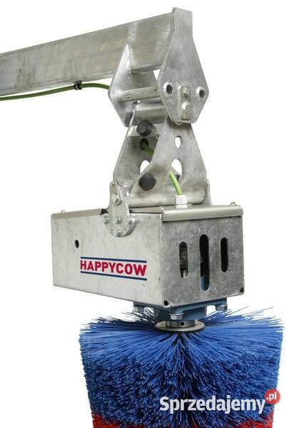 Czochradło MaxiSwing 18860 małopolskie