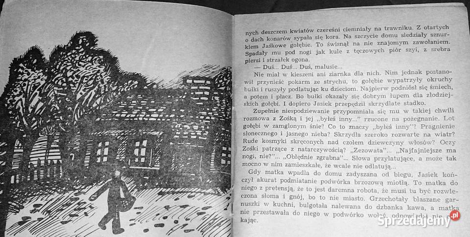 Szczenięca miłość Janina Barbara Górkiewiczowa sprzedam