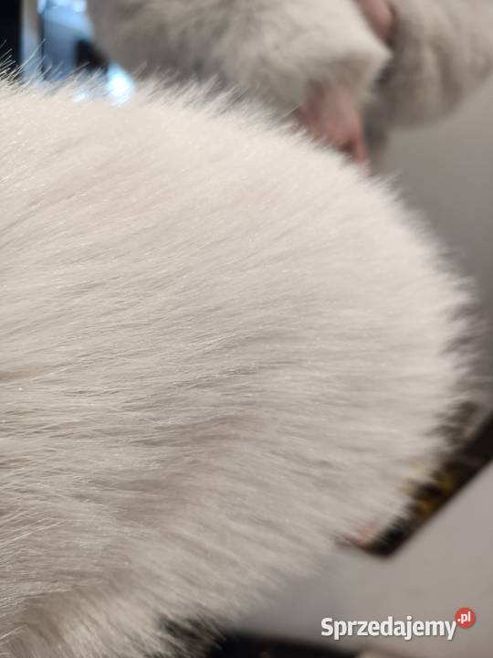 Nowe futerko Moda i Styl śląskie Częstochowa