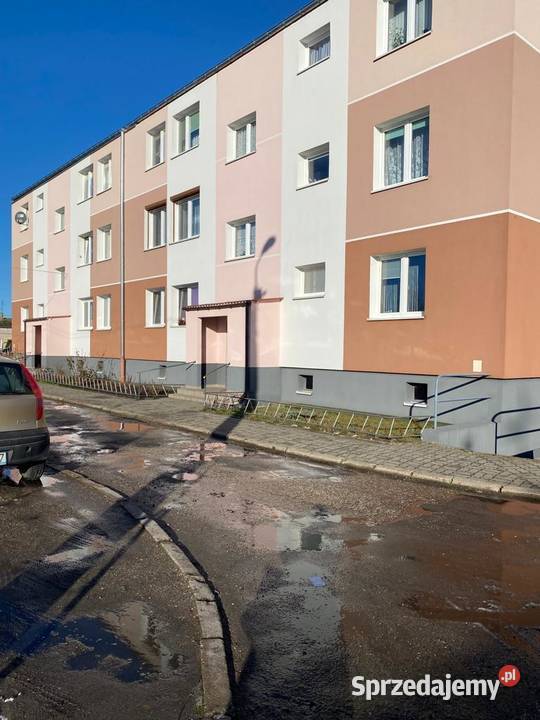 Mieszkanie kawalerka wynajem Żnin Złotniki Drzewica