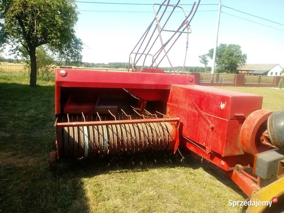 Sprzedam prase kostke do słomy i siana simpa 224 Kalisz