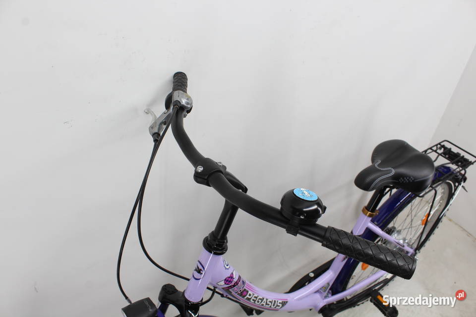 Rower młodzieżowy PEGASUS 7 biegów w piaście