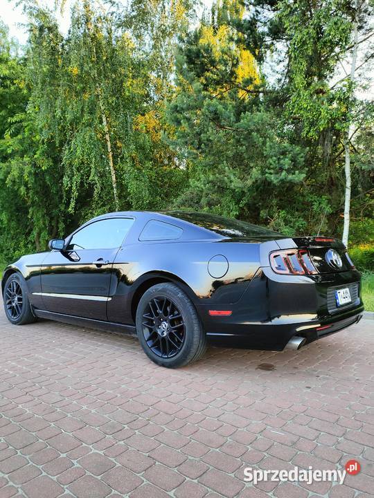 Ford Mustang V 2014r 37v6 manual Połaniec