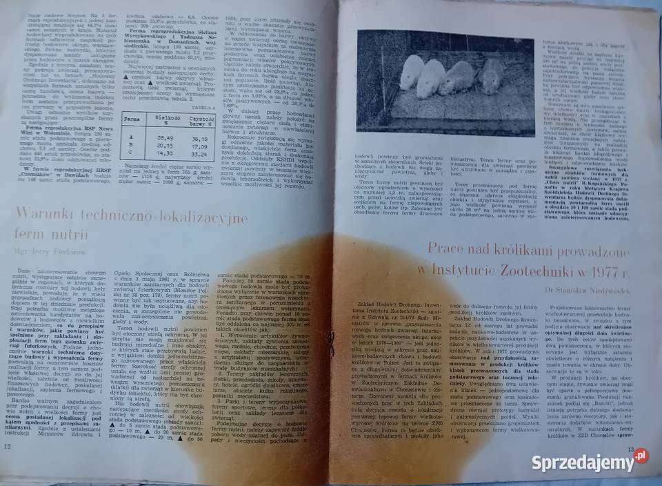 Hodowca Drobnego Inwentarza 2 1978 r Koźminek