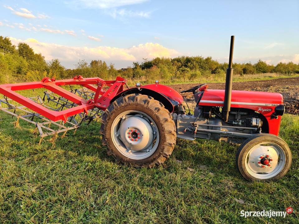 Ferguson tea20 z 1956r Skrzynia biegów Manualna